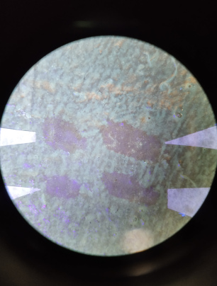 18 723 MA ZZ Loeslichkeitstests UV